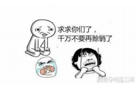 延边贷款清欠服务